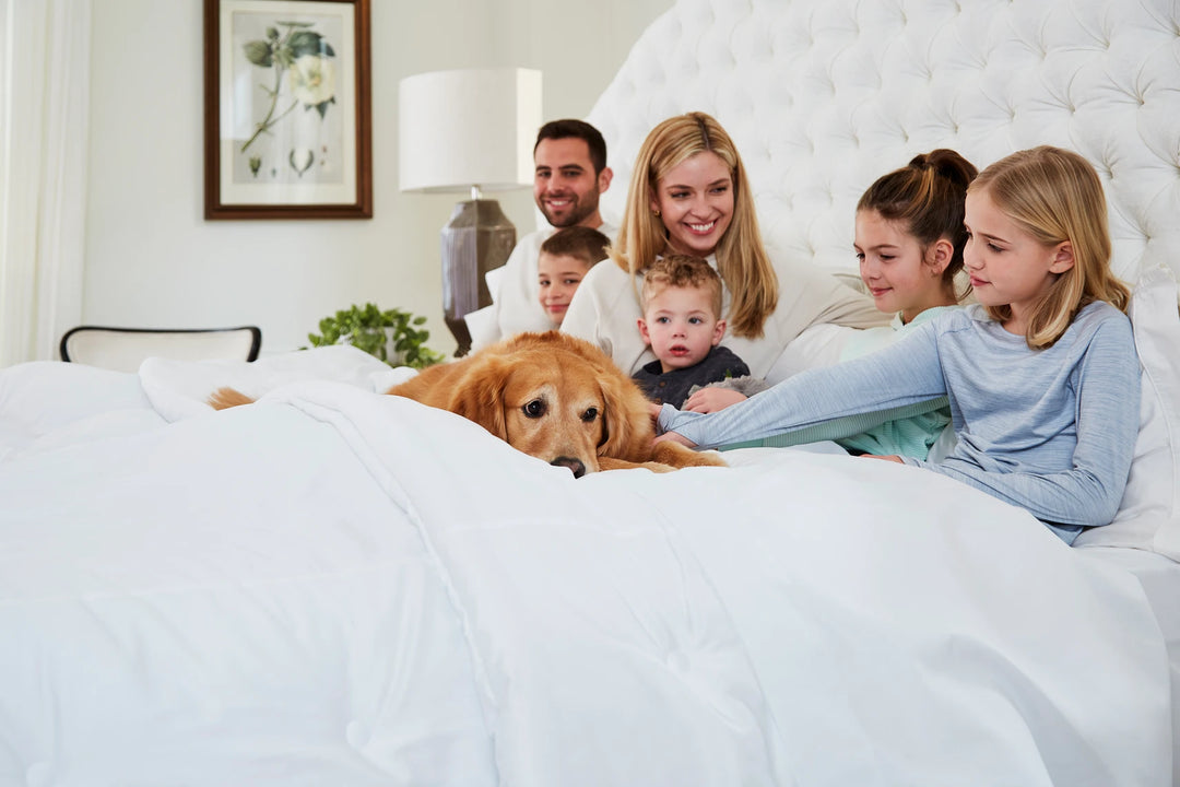 The Reasons Why a Big Bed Is Always Better