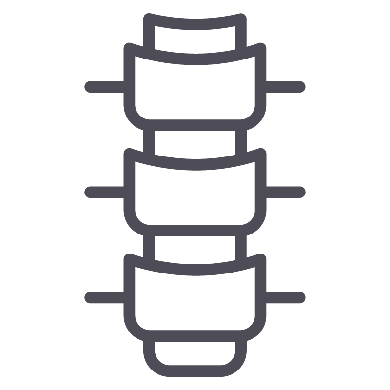 Spine