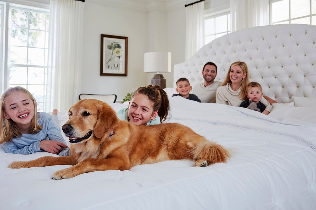 XL King-Sized Beds are the Perfect Combo of Comfort & Style
